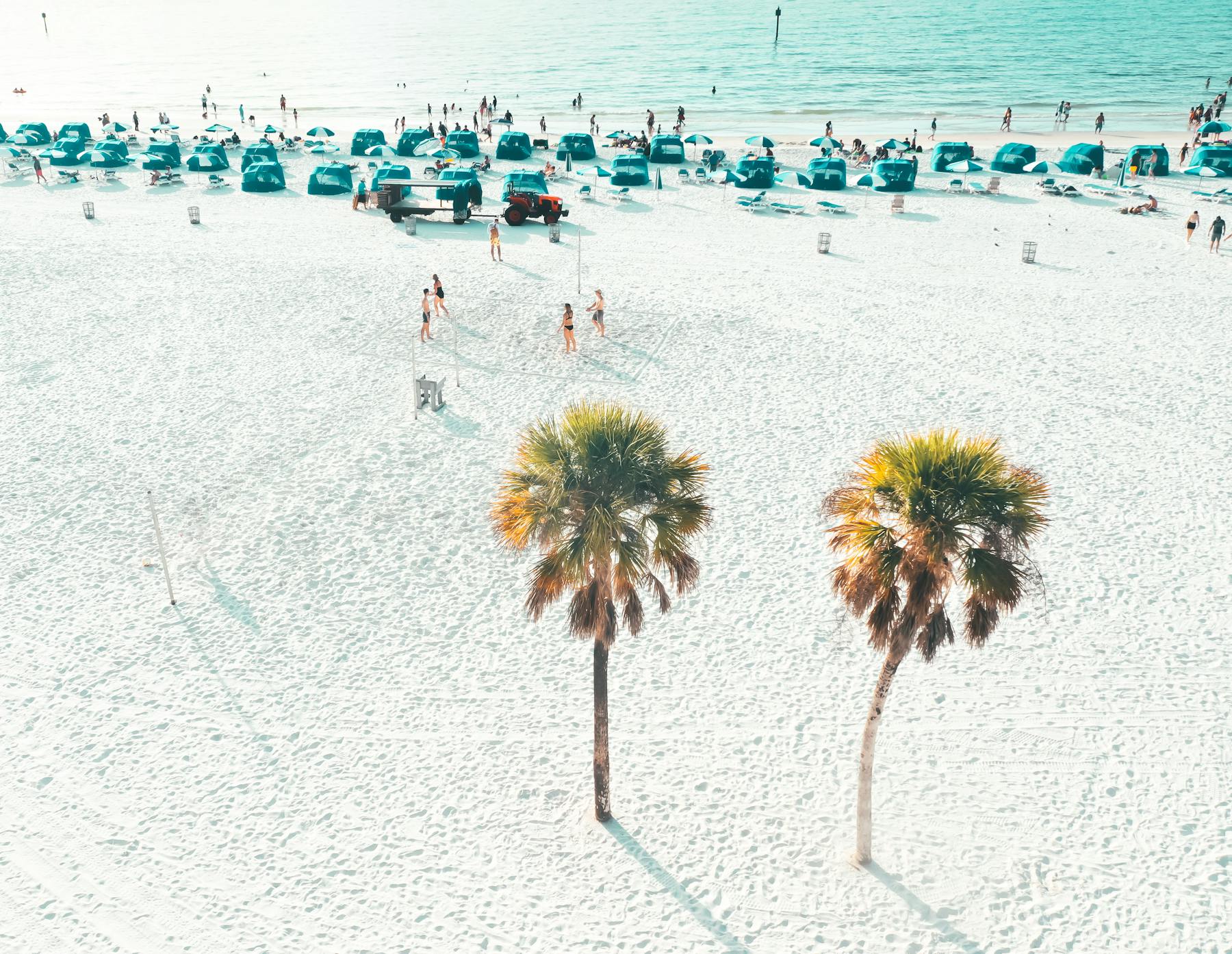 Sunlit palms and beach along Florida’s Gulf Coast